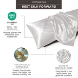 Mulberry Silk Pillow Cover - Sterling Silver