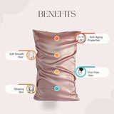 Mulberry Silk Pillow Cover & Scrunchy Pack Of 2 - Blush Pink